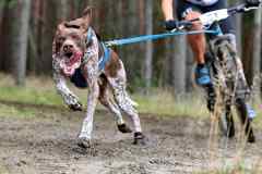 ITF-Leipa-Bike-women-35