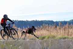 ITF-Leipa-Bike-women-41