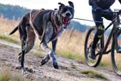 ITF-Leipa-Bike-women-52