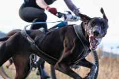 ITF-Leipa-Bike-women-54