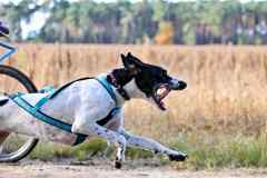 ITF-Leipa-Bike-women-61