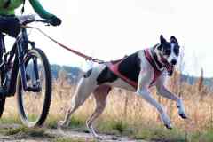 ITF-Leipa-Bike-women-66