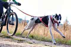 ITF-Leipa-Bike-women-67