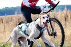 ITF-Leipa-Bike-women-71