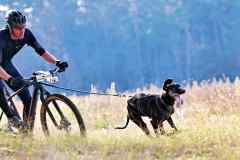 IFT-Leipa-Bike-men-28