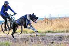 IFT-Leipa-Bike-men-36