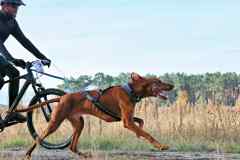 IFT-Leipa-Bike-men-40