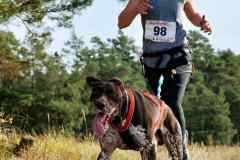 ITF-Leipa-Canicross-14