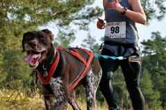 ITF-Leipa-Canicross-15