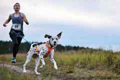 ITF-Leipa-Canicross-16