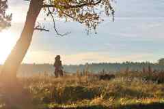 ITF-Leipa-Canicross-18