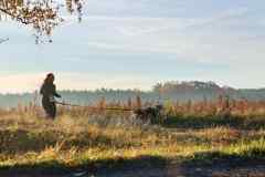 ITF-Leipa-Canicross-19