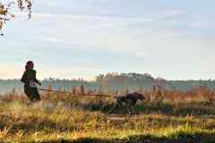 ITF-Leipa-Canicross-20