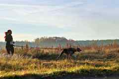 ITF-Leipa-Canicross-21