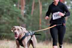 ITF-Leipa-Canicross-25