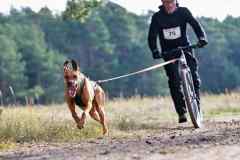 ITF-Leipa-DS1-men-23