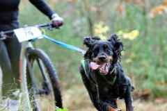 ITF-Leipa-DS1-women-19