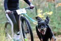 ITF-Leipa-DS1-women-20