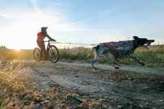 ITF-Leipa-DS2-02
