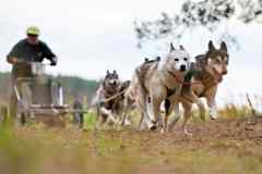 ITF-Leipa-Rig6-RNB-08