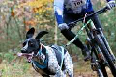 ITF-Leipa-Sprint-Bike-04