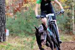 ITF-Leipa-Sprint-Bike-13