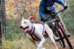 ITF-Leipa-Sprint-Bike-14