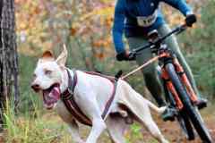 ITF-Leipa-Sprint-Bike-15