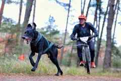 ITF-Leipa-Sprint-Bike-19