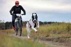 ITF-Leipa-Sprint-Bike-21