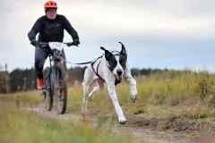 ITF-Leipa-Sprint-Bike-22