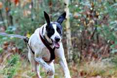 ITF-Leipa-Sprint-Bike-23