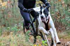 ITF-Leipa-Sprint-Bike-25