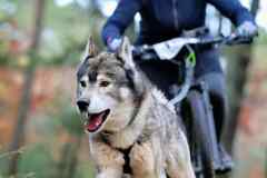 ITF-Leipa-Sprint-Bike-28