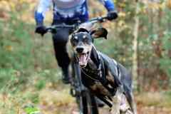 ITF-Leipa-Sprint-Bike-31