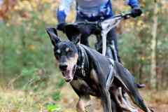 ITF-Leipa-Sprint-Bike-32