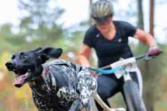 ITF-Leipa-Sprint-Scooter-01