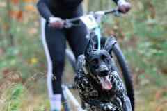 ITF-Leipa-Sprint-Scooter-03