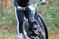 ITF-Leipa-Sprint-Scooter-04