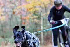 ITF-Leipa-Sprint-Scooter-05