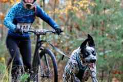 ITF-Leipa-Sprint-Scooter-08