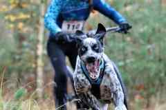 ITF-Leipa-Sprint-Scooter-09