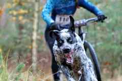 ITF-Leipa-Sprint-Scooter-10