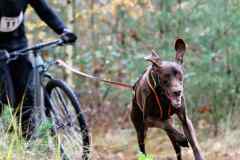 ITF-Leipa-Sprint-Scooter-11