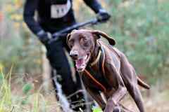 ITF-Leipa-Sprint-Scooter-12