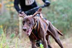 ITF-Leipa-Sprint-Scooter-13