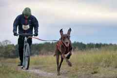 ITF-Leipa-Sprint-Scooter-14