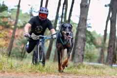 ITF-Leipa-Sprint-Scooter-17