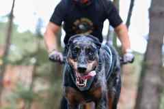 ITF-Leipa-Sprint-Scooter-19