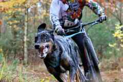 ITF-Leipa-Sprint-Scooter-22